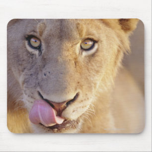 Mousepad Retrato do close up de um encontro masculino novo