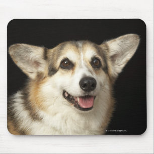Mousepad Retrato do Corgi preto, marrom e branco