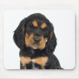 Mousepad Retrato do estúdio do filhote de cachorro de