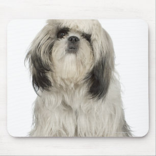 Mousepad Retrato do filhote de cachorro de Terrier tibetano
