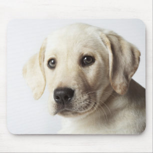 Mousepad Retrato do filhote de cachorro louro de labrador