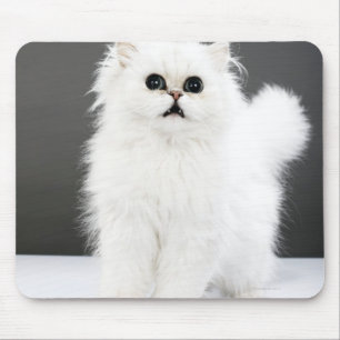 Mousepad Retrato do gatinho