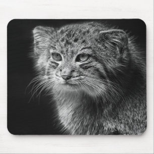 Mousepad Retrato do gato de Pallas