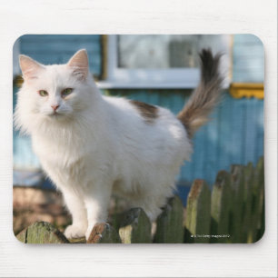 Mousepad Retrato do gato na cerca
