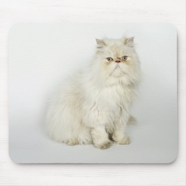 Mousepad Retrato do gato persa (Frente)
