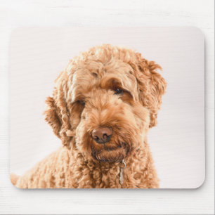 Mousepad Retrato do Goldendoodle Studio
