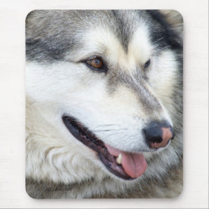 Mousepad Retrato do lobo