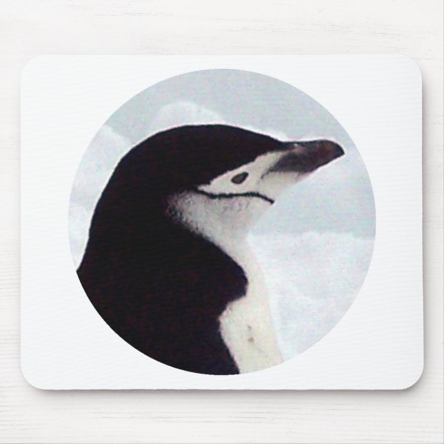 Mousepad Retrato do pinguim de Chinstrap (Frente)