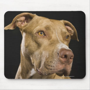 Mousepad Retrato do pitbull do nariz vermelho com preto
