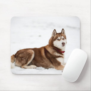 Mousepad Retrato Husky Siberian Cute