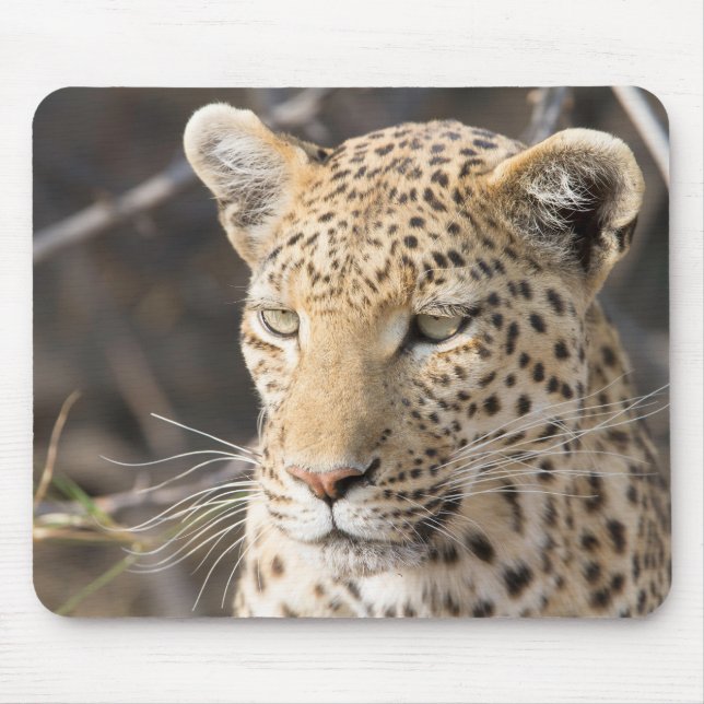 Mousepad Retrato leopardo (Frente)