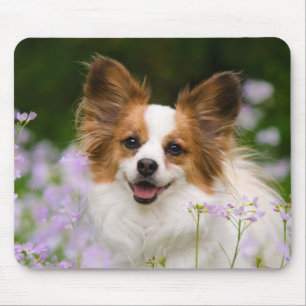 Mousepad Retrato Romântico de Papillon