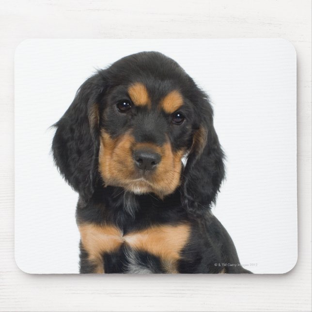 Mousepad Retrato Studio do filhote Rottweiler (Frente)