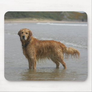 Mousepad Retreiver dourado no mar