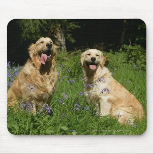 Mousepad Retreivers dourado na grama