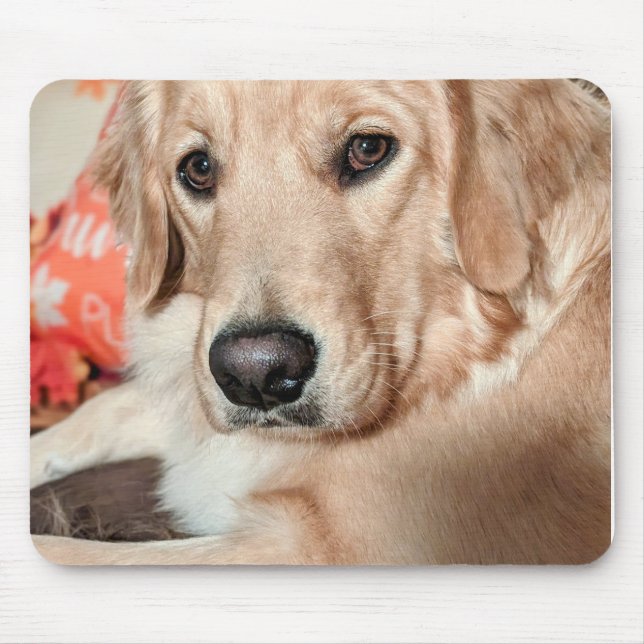 Mousepad Retriever de ouro (Frente)
