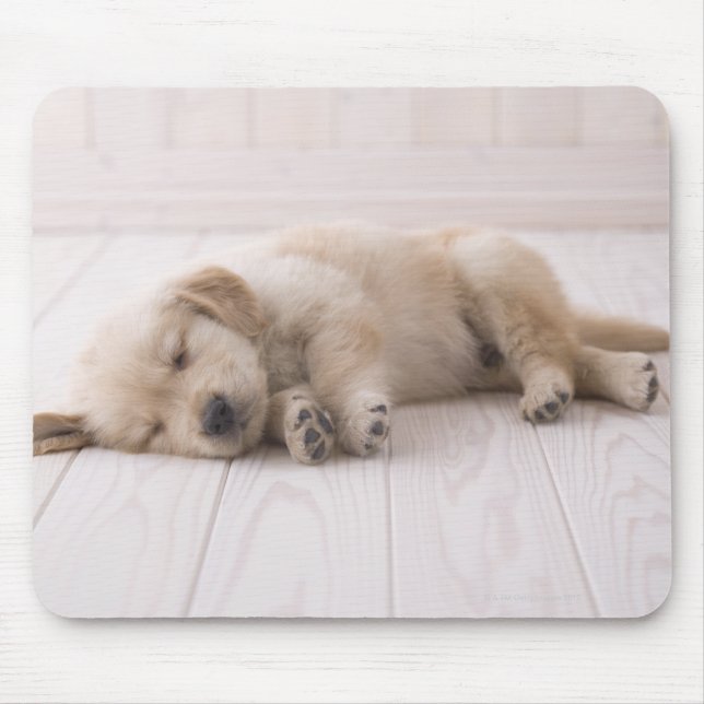 Mousepad Retriever de ouro (Frente)
