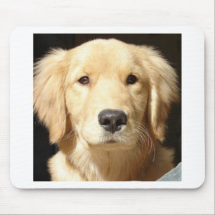 Mousepad Retriever de ouro