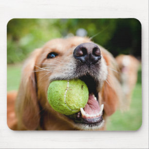 Mousepad Retriever De Ouro Com Bola De Tênis