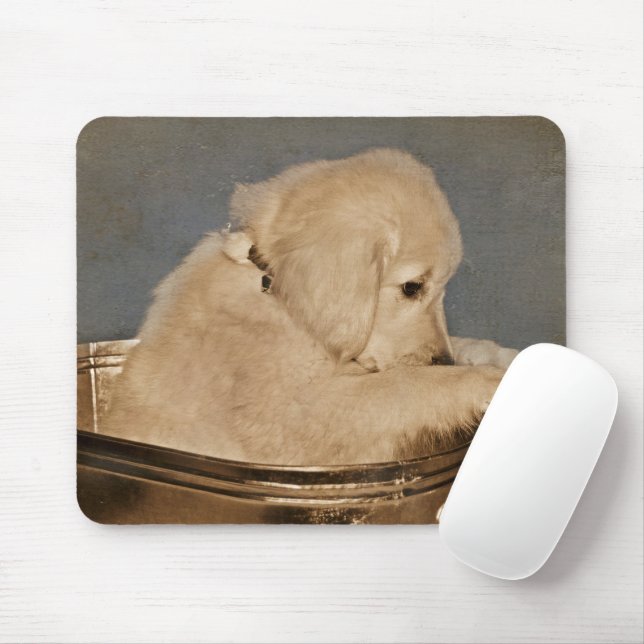 Mousepad Retriever de ouro na Lavadora Retroativa (Com mouse)