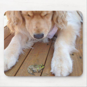 Mousepad Retriever de ouro Olhando para um Sapo
