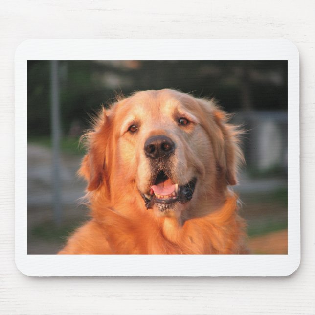 Mousepad Retriever Dourado (Frente)