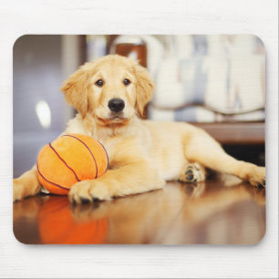 Mousepad Retriever Ouro Com Brinquedo De Basquete