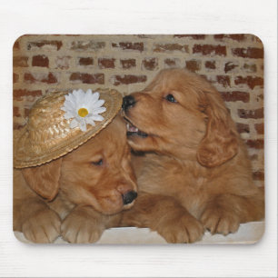 Mousepad Retrivers de ouro