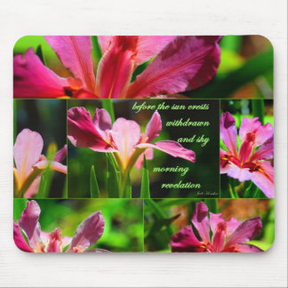 Mousepad Revelação da manhã