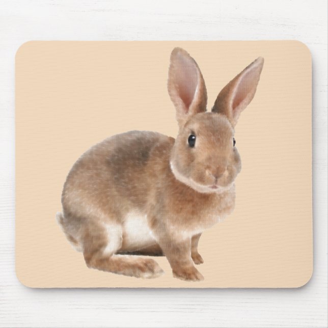 Mousepad Rex Rabbit (Frente)
