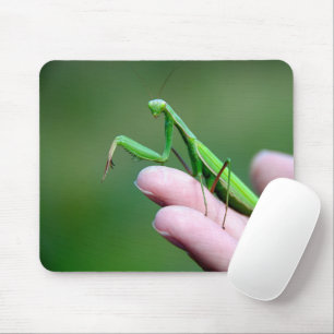 Mousepad Rezando Mantis Em Uma Mão