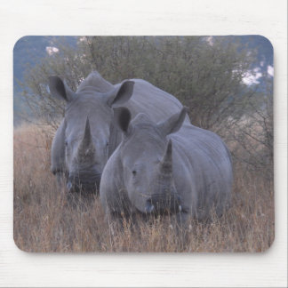 Mousepad Rhinos brancos