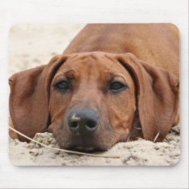 Mousepad Rhodesian Ridgeback Muismat