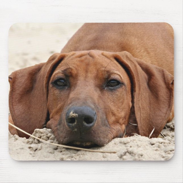 Mousepad Rhodesian Ridgeback Muismat (Frente)