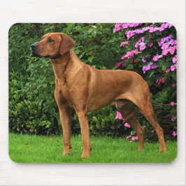 Mousepad Rhodesian Ridgeback Muismat