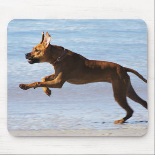 Mousepad Rhodesian Ridgeback - pulo