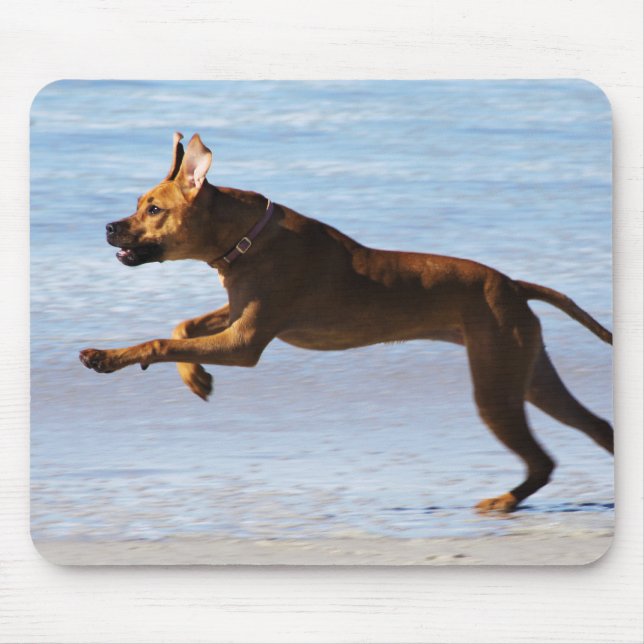 Mousepad Rhodesian Ridgeback - pulo (Frente)
