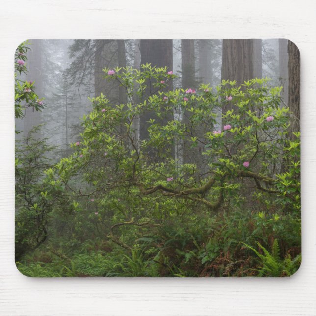 Mousepad Rhododendron no Parque Nacional de Redwood, Califó (Frente)