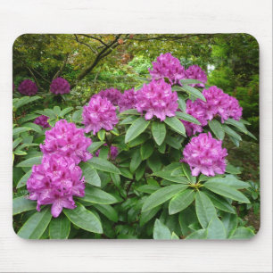 Mousepad Rhododendron Ponticum