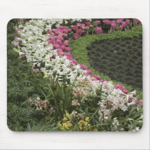 Mousepad Rhododendron (Rhododendron catawbiense) Urze