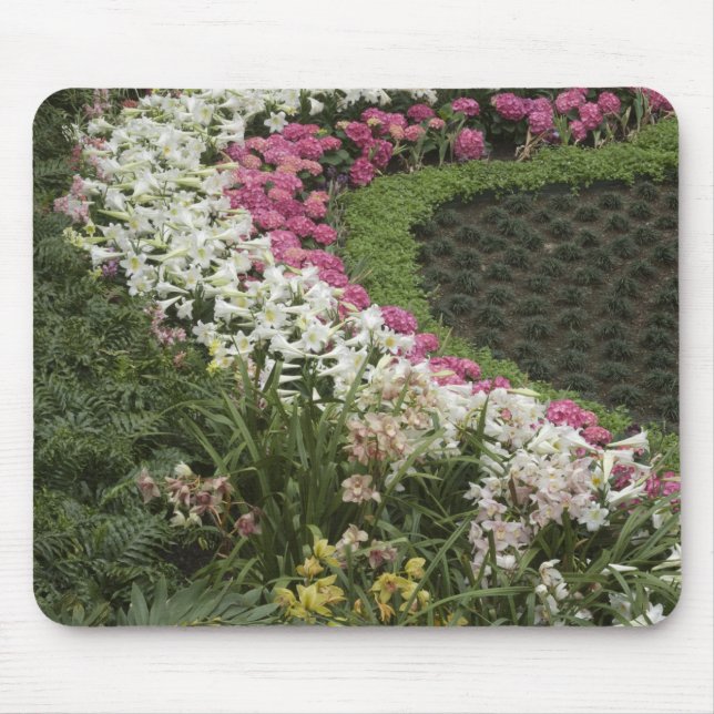 Mousepad Rhododendron (Rhododendron catawbiense) Urze (Frente)