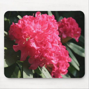 Mousepad Rhododendron rosa