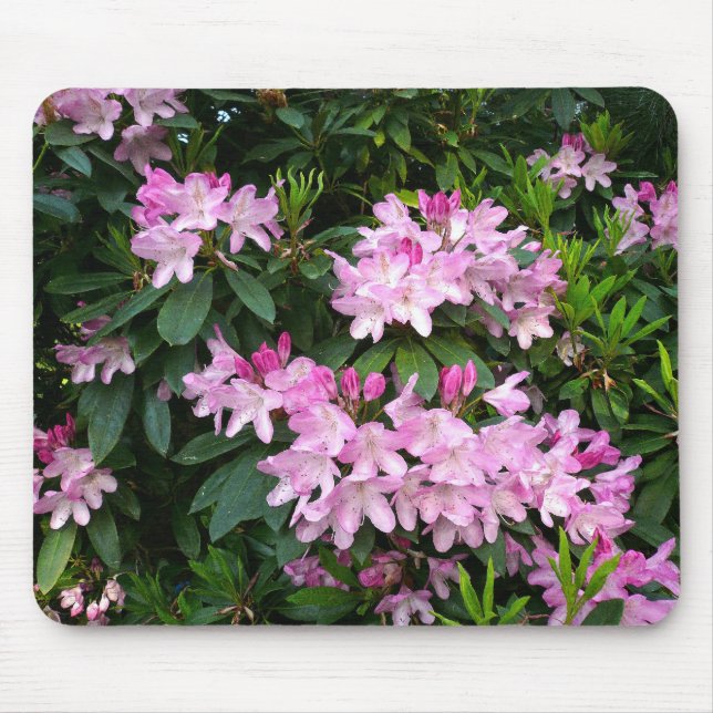 Mousepad Rhododendrons IV (Frente)