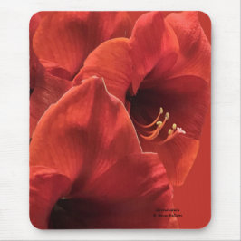 Mousepad Rich Earthy Ruby Red Amaryllis Foto composta