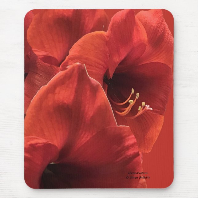 Mousepad Rich Earthy Ruby Red Amaryllis Foto composta (Frente)