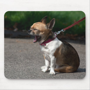 Mousepad Rindo de Chihuahua