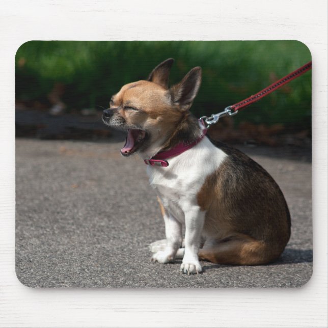 Mousepad Rindo de Chihuahua (Frente)