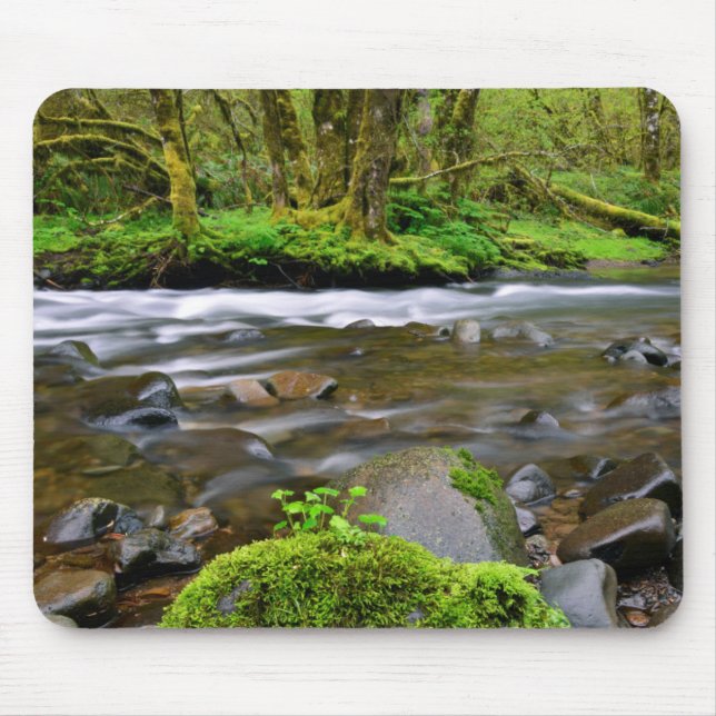 Mousepad Rio em Floresta Verde, Oregon (Frente)