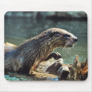 Mousepad Rio Otter Animal-lover Foto da vida selvagem