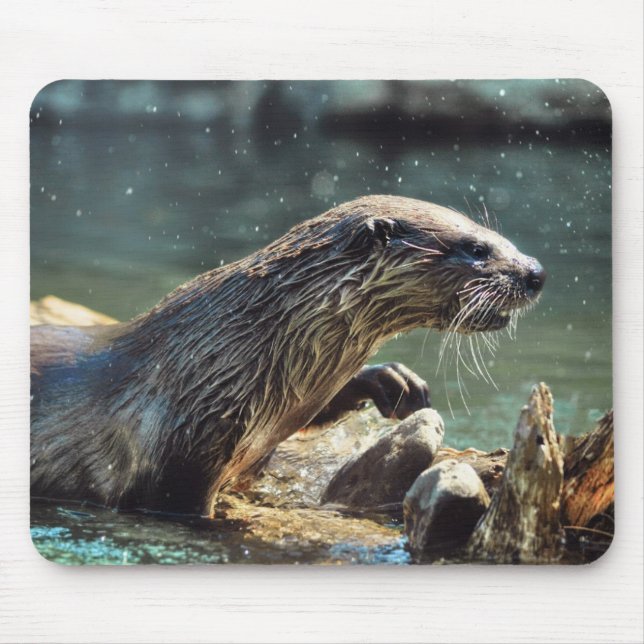 Mousepad Rio Otter Animal-lover Foto da vida selvagem (Frente)